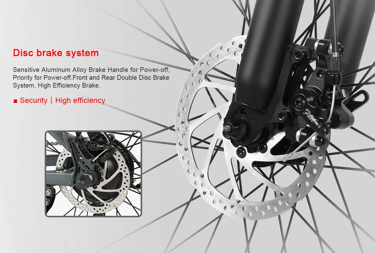 Dropshipping Electric Bicycle European Warehouse Fashion Electric Family Cargo Bikes Ebike 350w-4