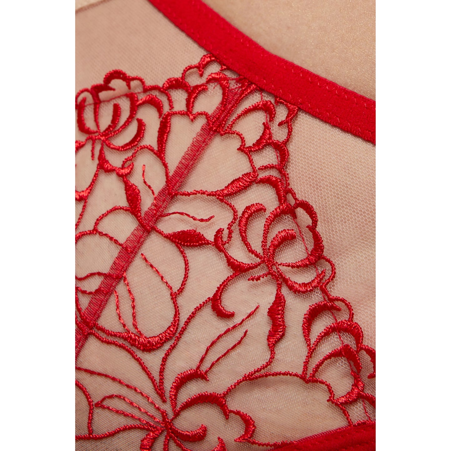 Sheer Mesh Thong Panty Gorteks Mistress-4