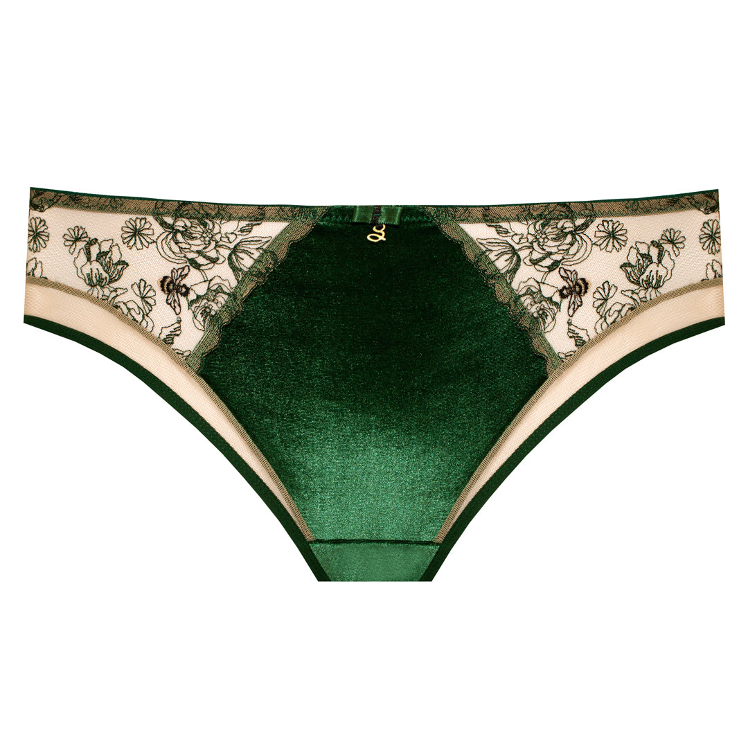 Velvet Sheer Embroidered Brief Panty Ola-4