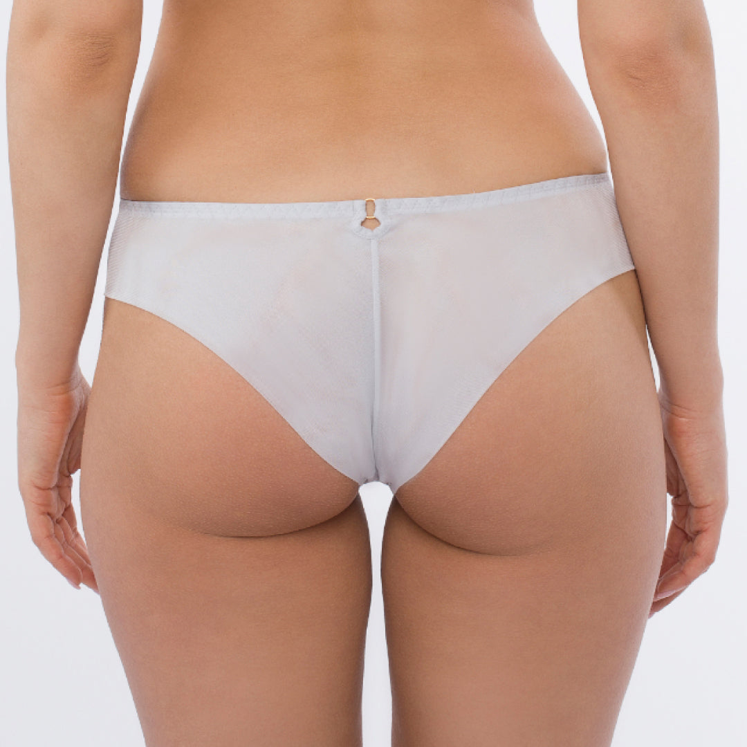 Sheer Mesh Tulle Embroidered Tanga Panty Sweet-1