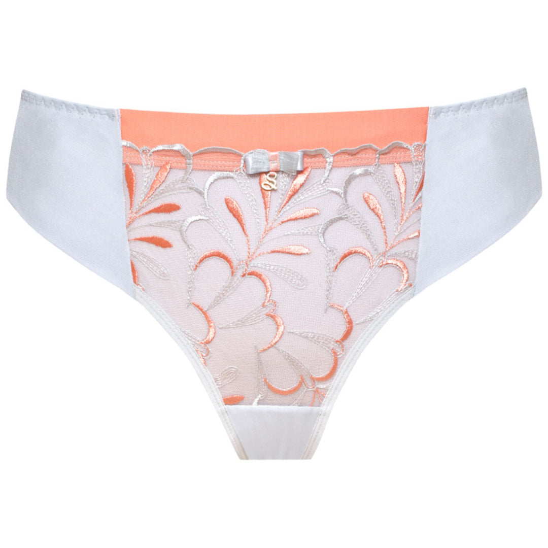 Sheer Mesh Tulle Embroidered Tanga Panty Sweet-2