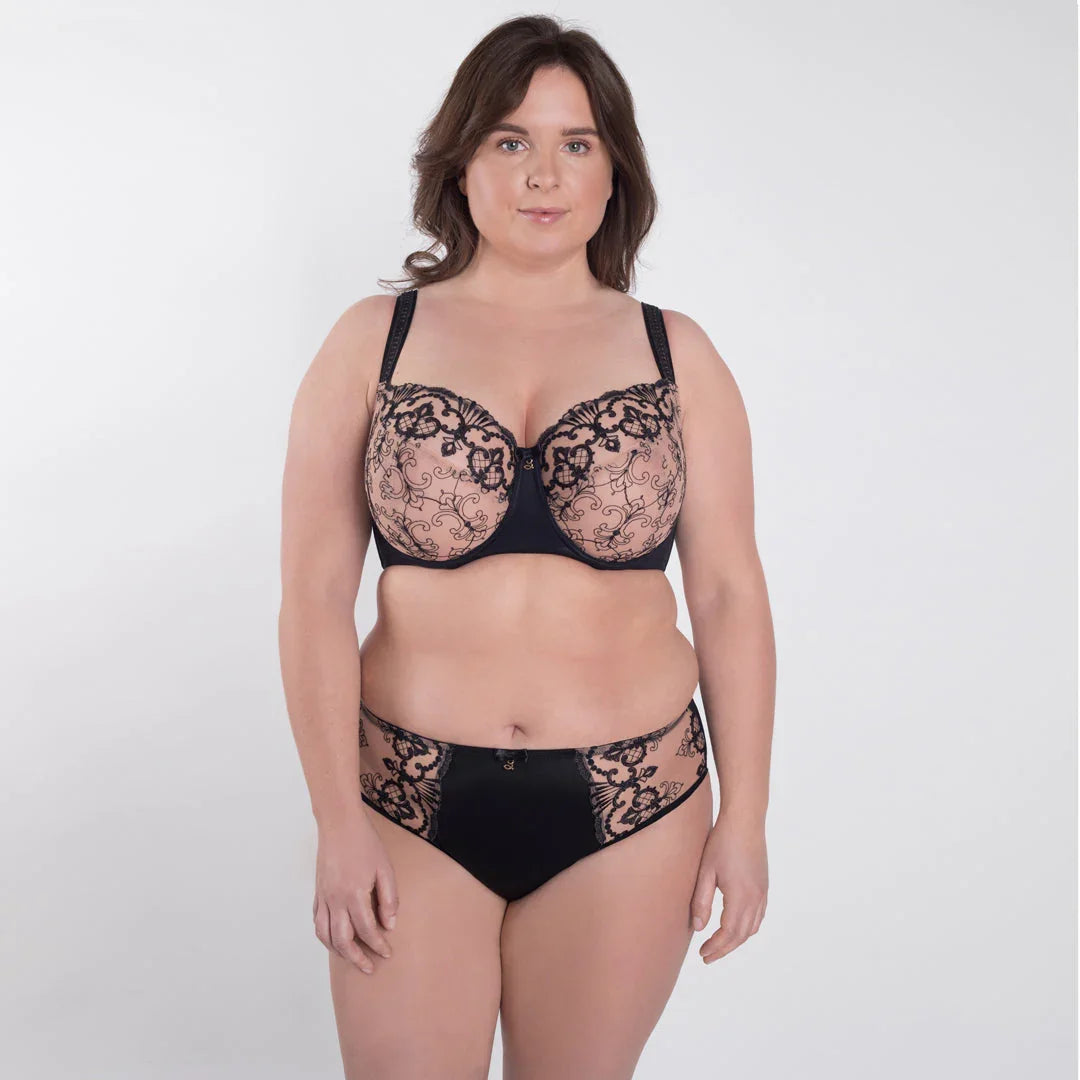 Sheer Mesh Tulle Embroidered Brief Panty Perla Black - STREET STYLE