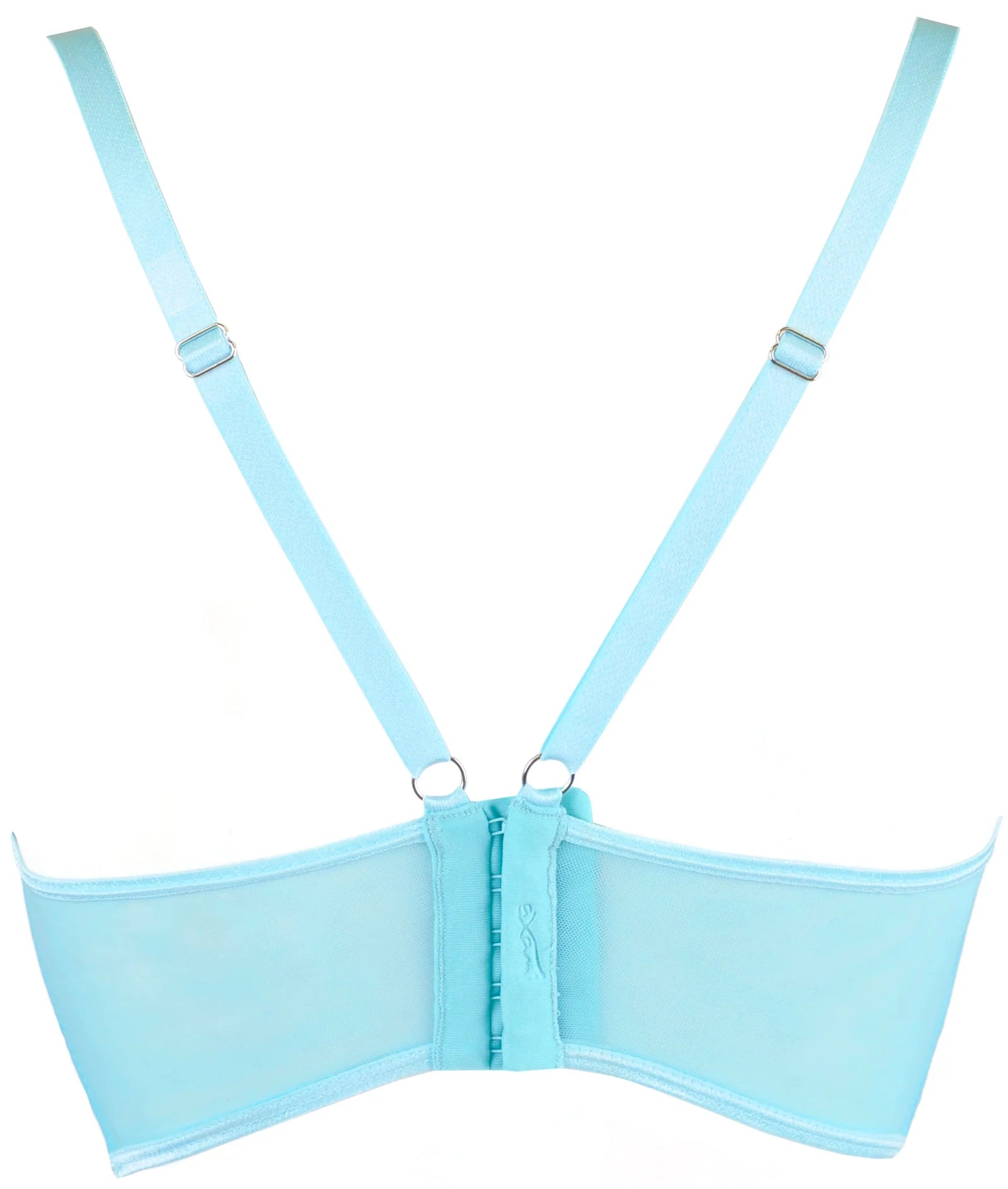 Sexy Sheer Deep Plunge Bra Axami Alice-3