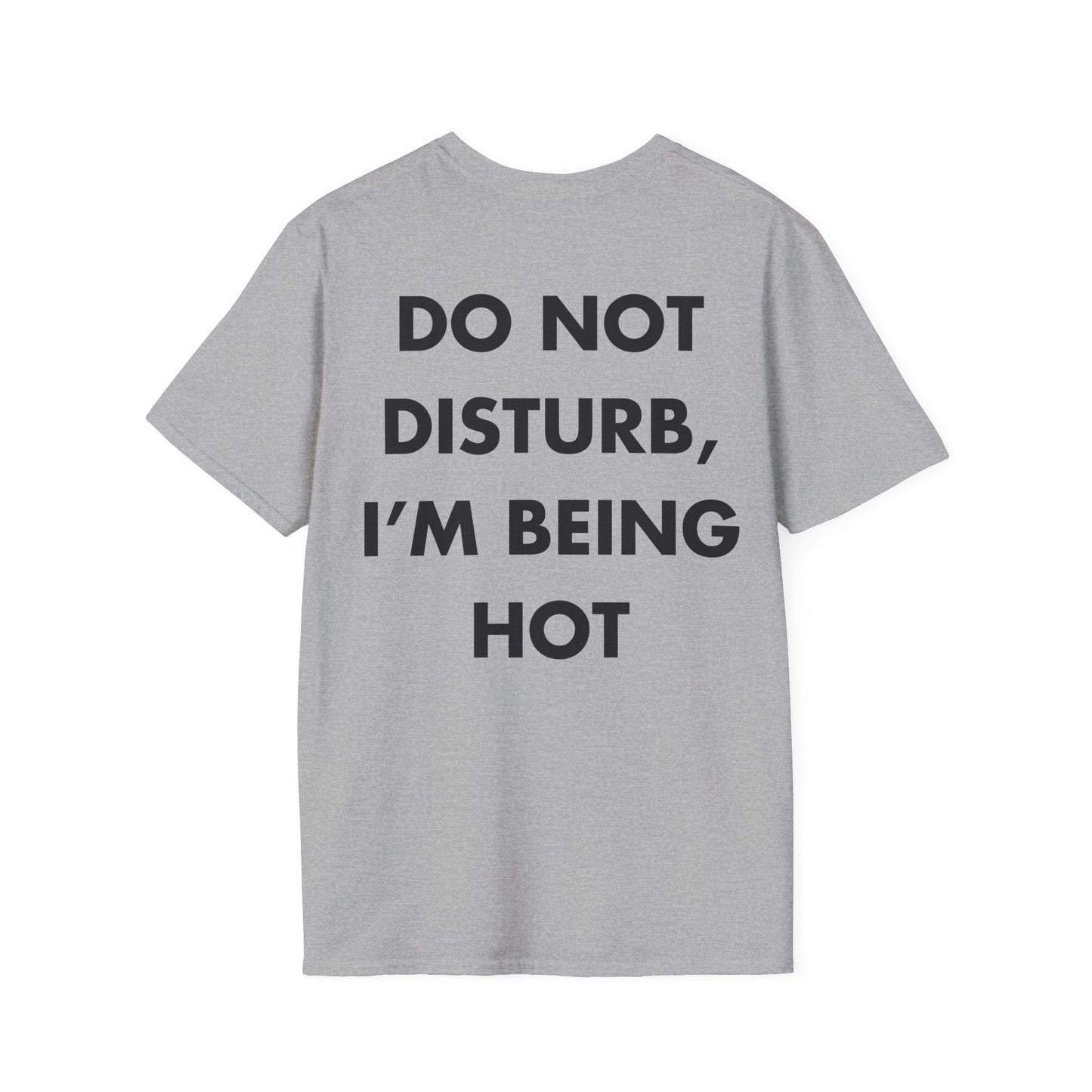 DO NOT DISTURB, I’M BEING HOT - Everything I Love - Unisex T-Shirt - Back Print-4