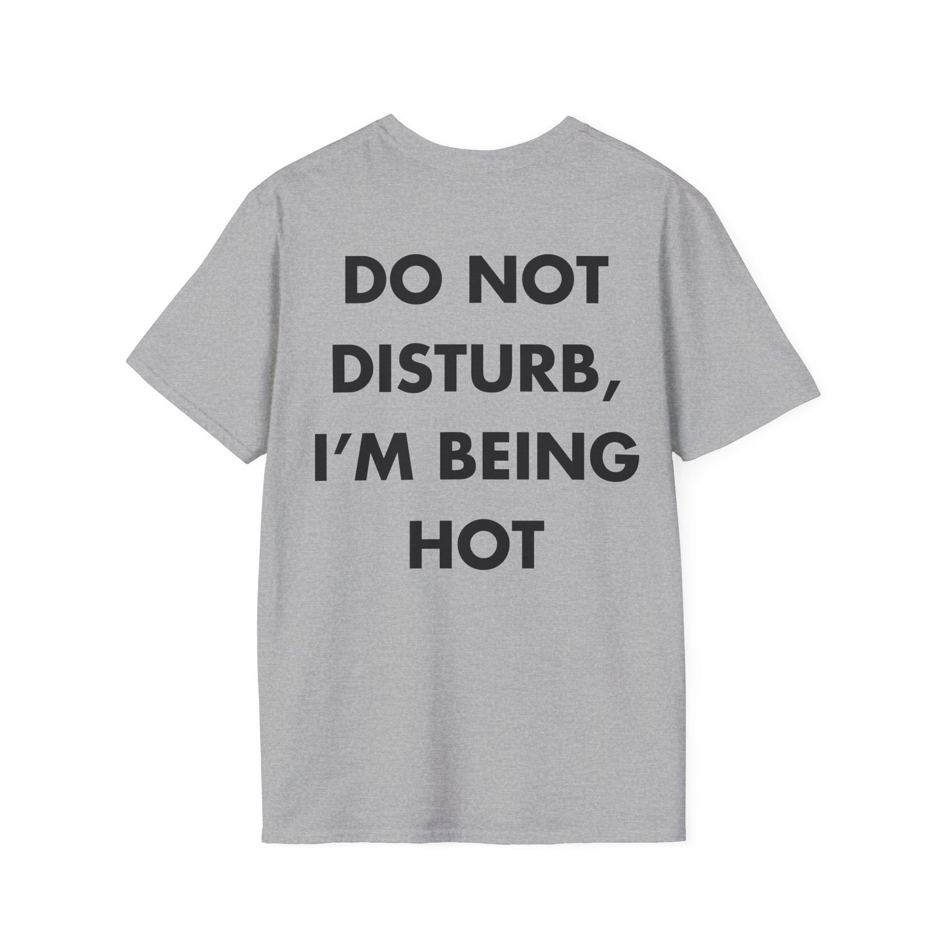 DO NOT DISTURB, I’M BEING HOT - Everything I Love - Unisex T-Shirt - Back Print-4