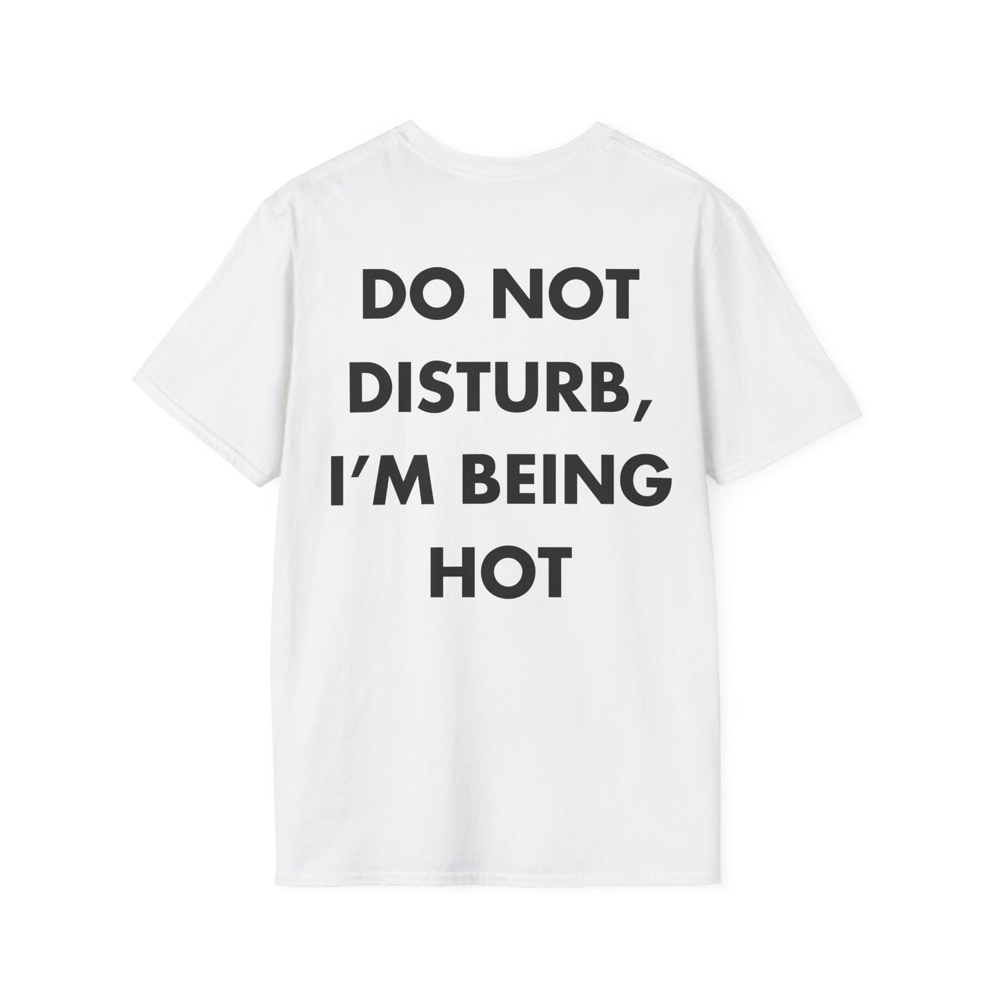 DO NOT DISTURB, I’M BEING HOT - Everything I Love - Unisex T-Shirt - Back Print-3