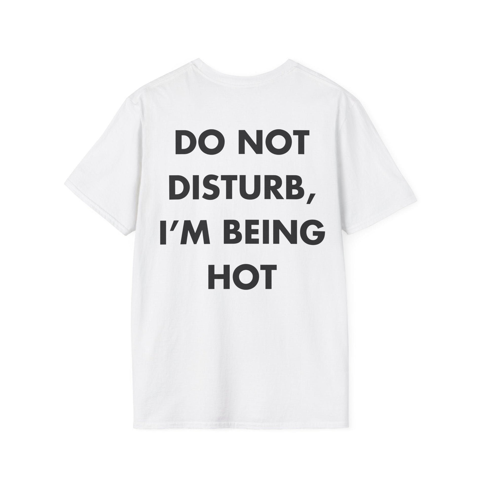 DO NOT DISTURB, I’M BEING HOT - Everything I Love - Unisex T-Shirt - Back Print-3