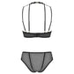 Sexy Sheer Demi Bra & Mesh Bikini Panty Set Majesty - STREET STYLE
