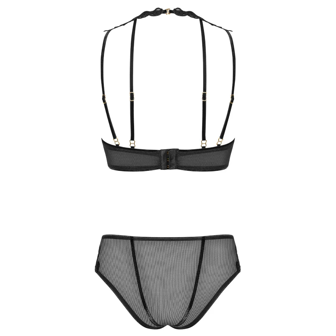 Sexy Sheer Demi Bra & Mesh Bikini Panty Set Majesty - STREET STYLE