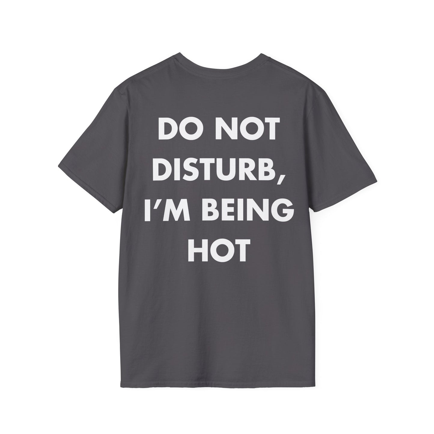 DO NOT DISTURB, I’M BEING HOT - Everything I Love - Unisex T-Shirt - Back Print-1