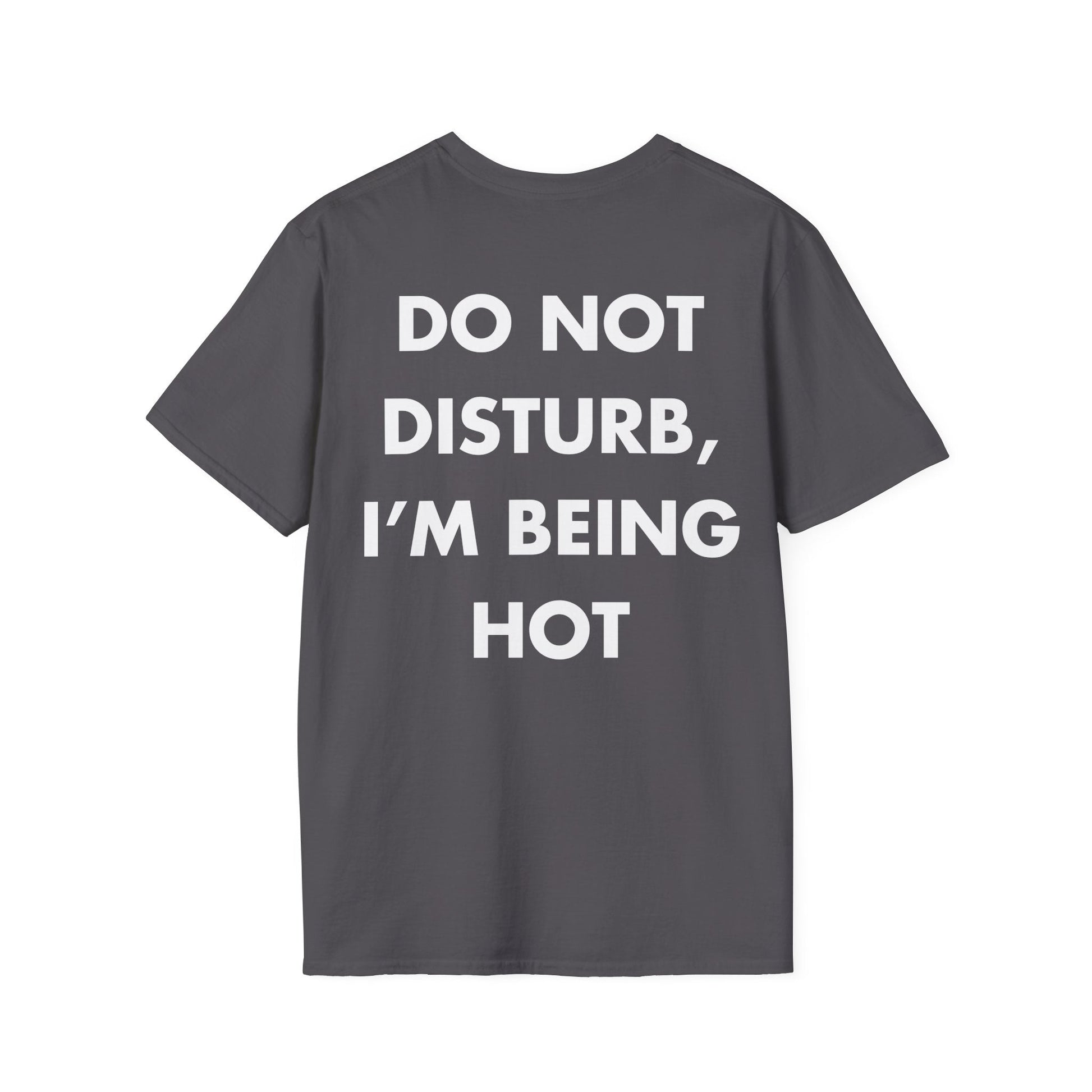 DO NOT DISTURB, I’M BEING HOT - Everything I Love - Unisex T-Shirt - Back Print-1