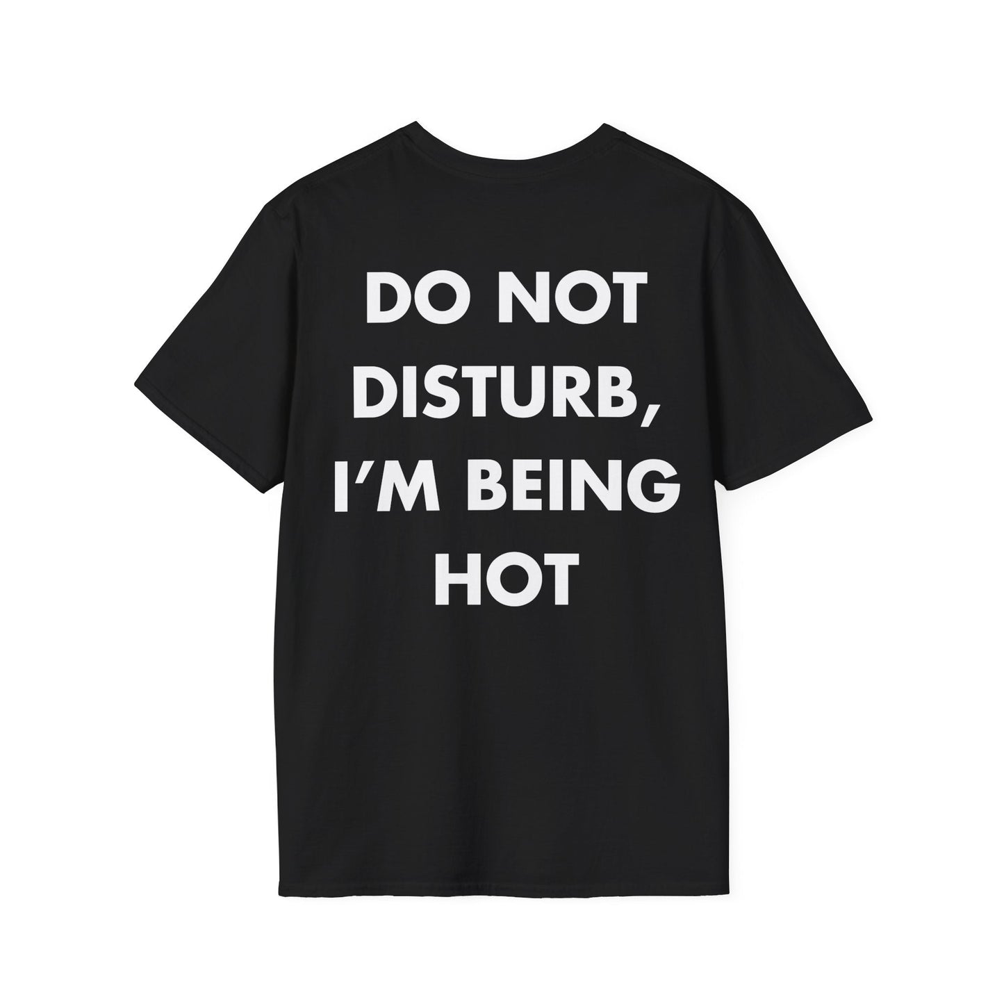 DO NOT DISTURB, I’M BEING HOT - Everything I Love - Unisex T-Shirt - Back Print-0