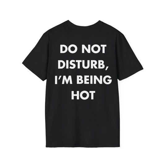 DO NOT DISTURB, I’M BEING HOT - Everything I Love - Unisex T-Shirt - Back Print-0