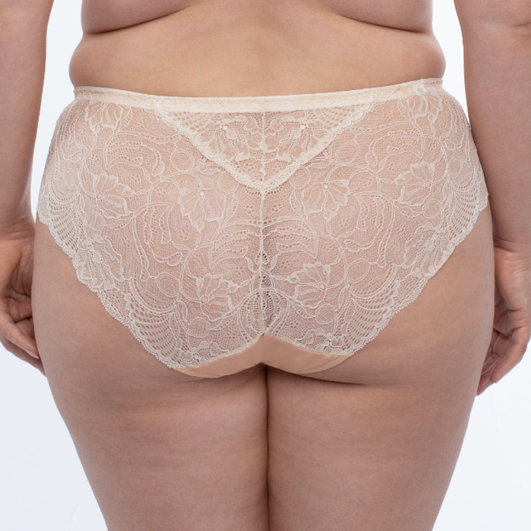 Sheer Mesh Tulle Embroidered Brief Panty Anabelle-1