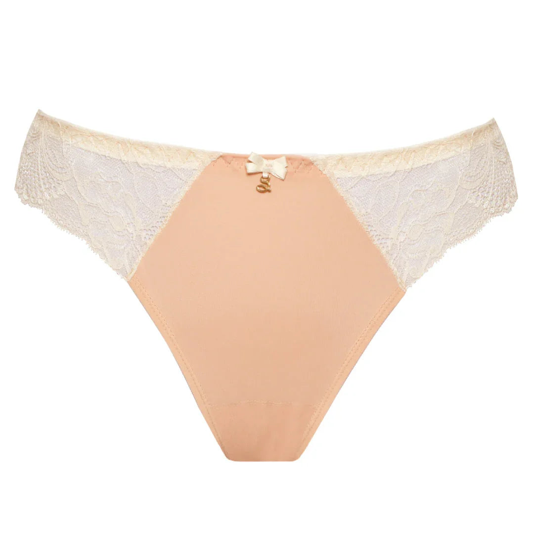 Sheer Mesh Tulle Embroidered Tanga Panty Anabelle - STREET STYLE