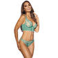 Sexy Transparent Longline Plunge Bra Axami Belize Beauty-2