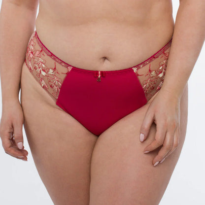 Sheer Mesh Tulle Embroidered Bikini Panty Daniela - STREET STYLE