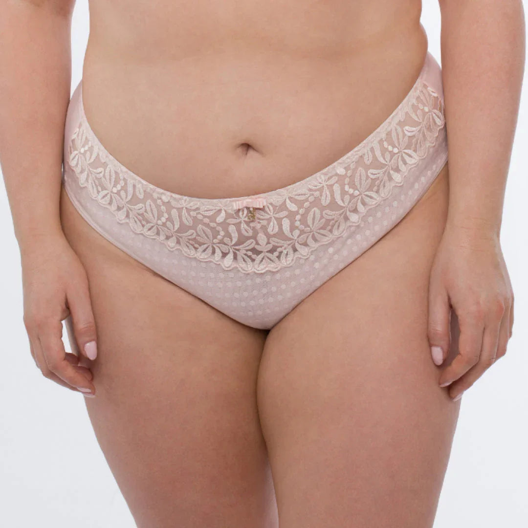 Sheer Mesh Tulle Embroidered Brief Panty Donna - STREET STYLE