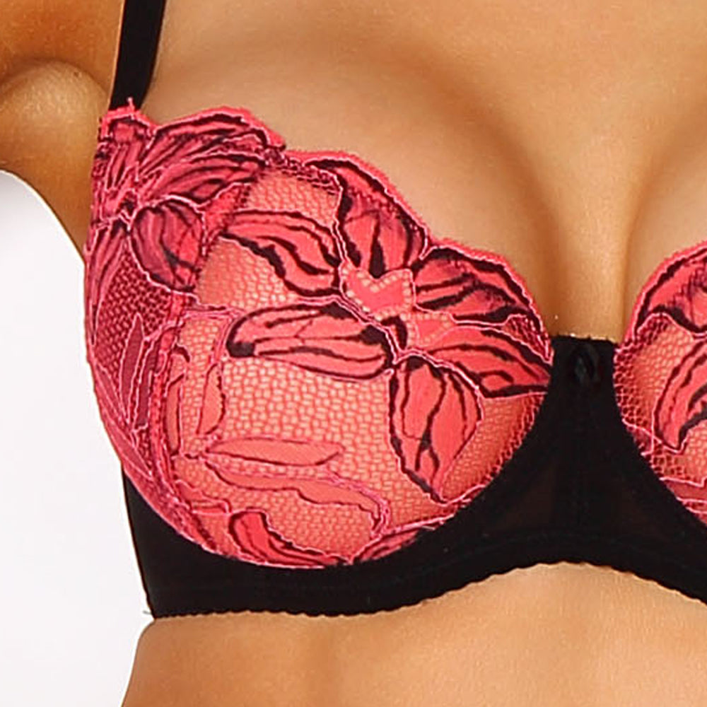 Sexy Sheer Lace Demi Cup Bra Paripari La Furia-2