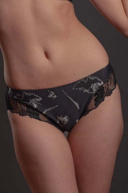 Sheer Mesh Lace Trim Bikini Panty Lavinia Silver Feathers-0