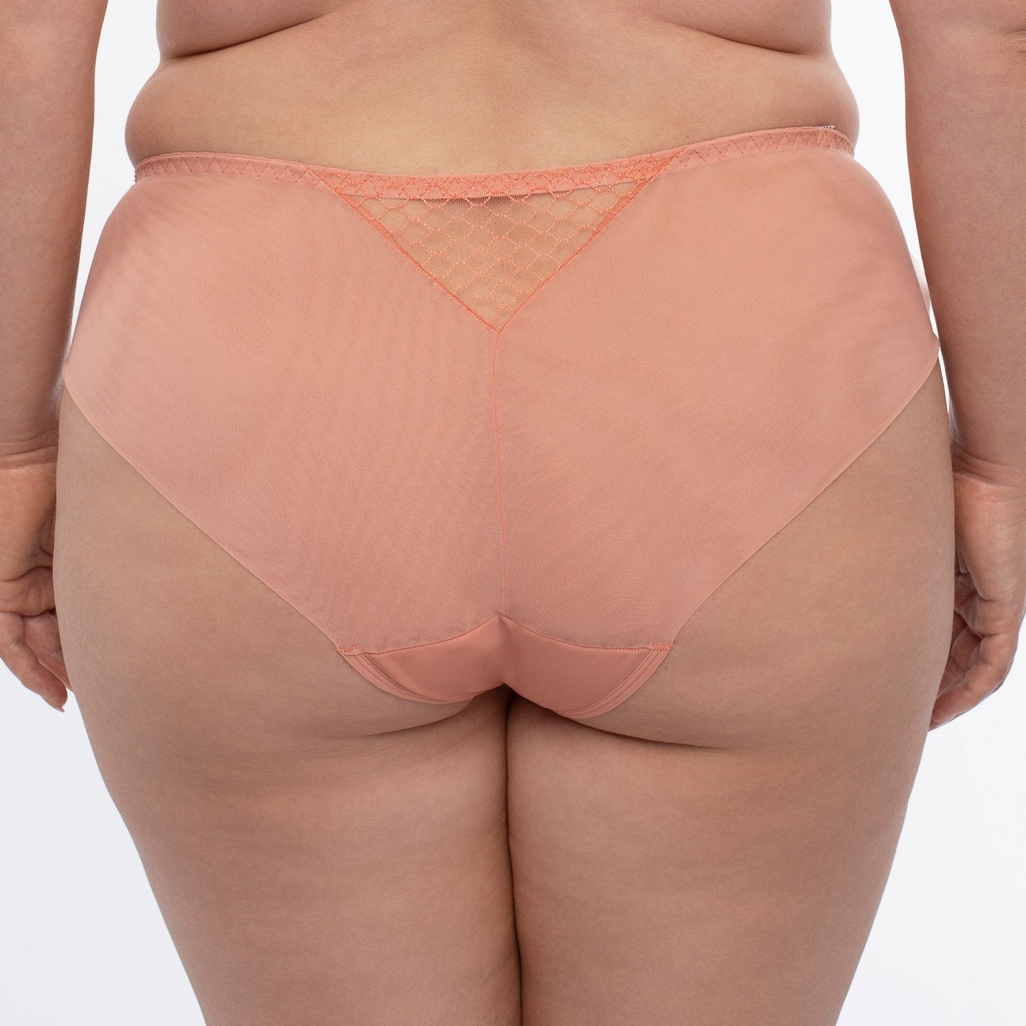 Sheer Mesh Tulle Bikini Panty Lea-1