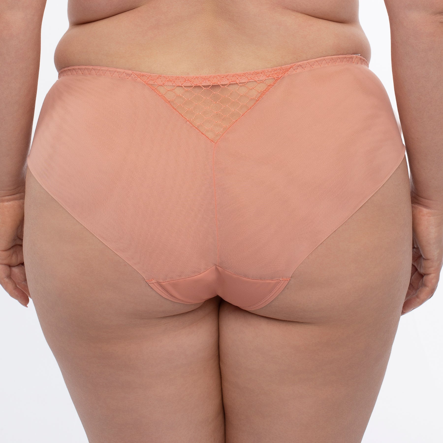 Sheer Mesh Tulle Bikini Panty Lea-1
