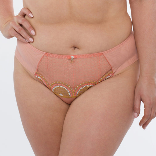 Sheer Mesh Tulle Bikini Panty Lea-0