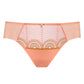 Sheer Mesh Tulle Bikini Panty Lea-2