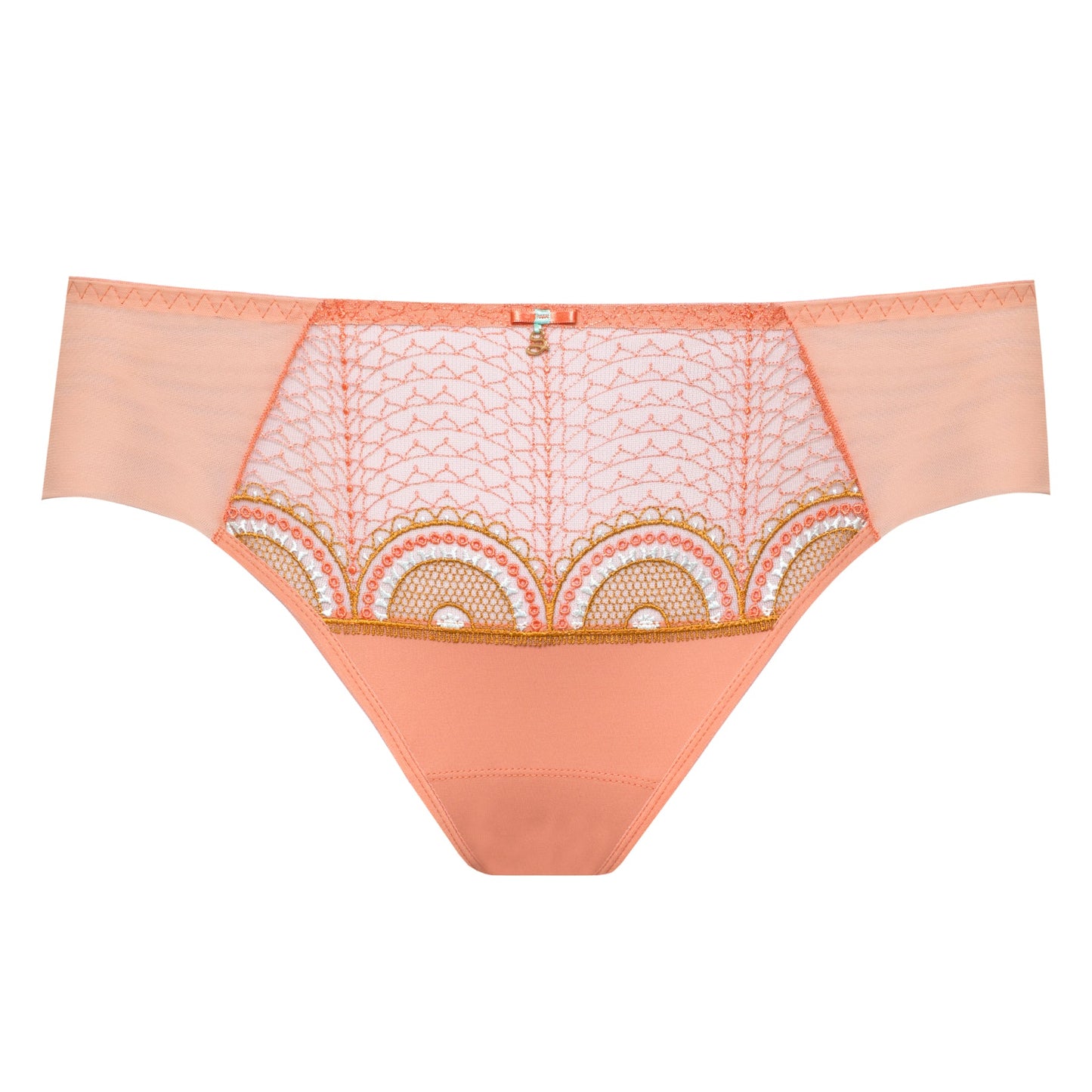 Sheer Mesh Tulle Bikini Panty Lea-2