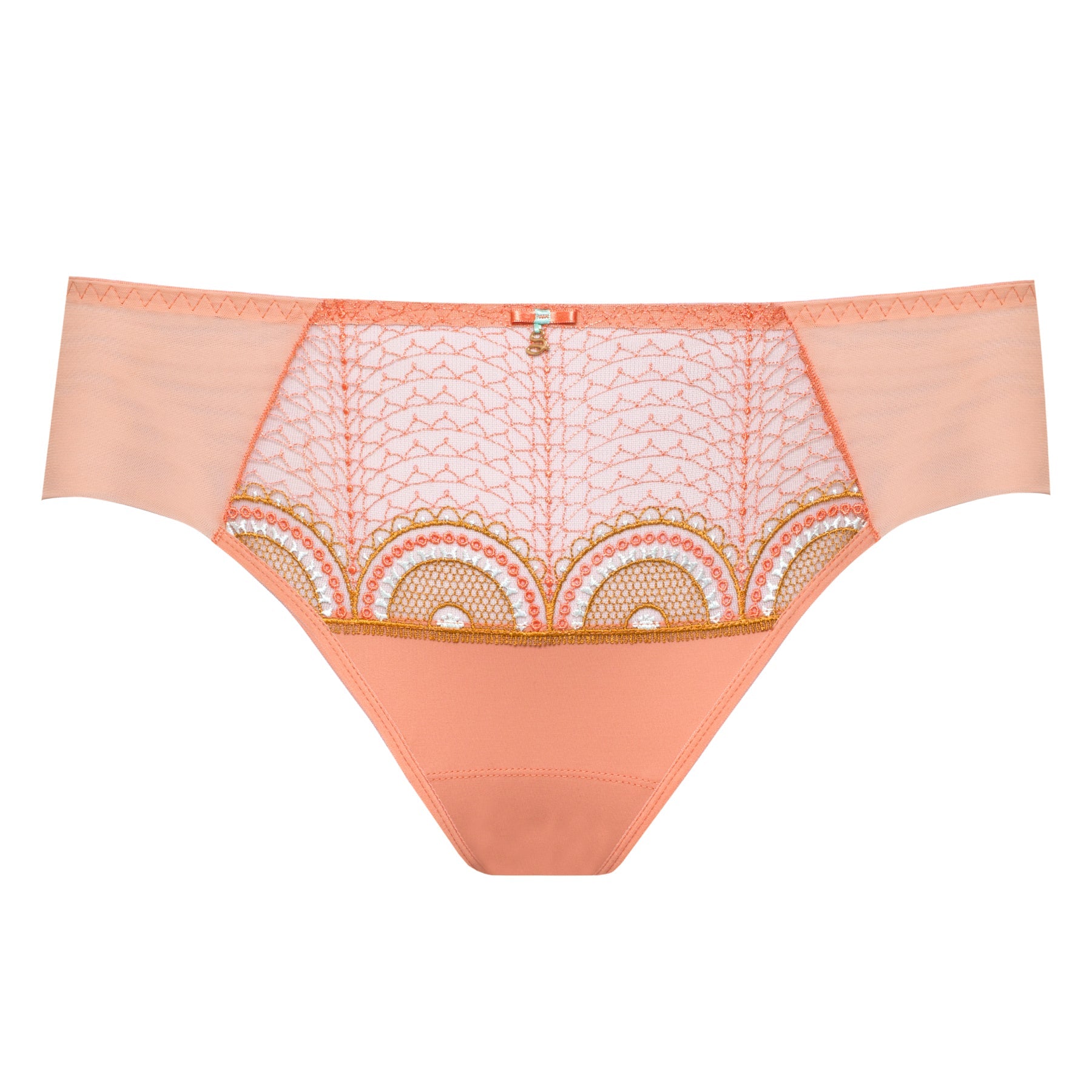Sheer Mesh Tulle Bikini Panty Lea-2