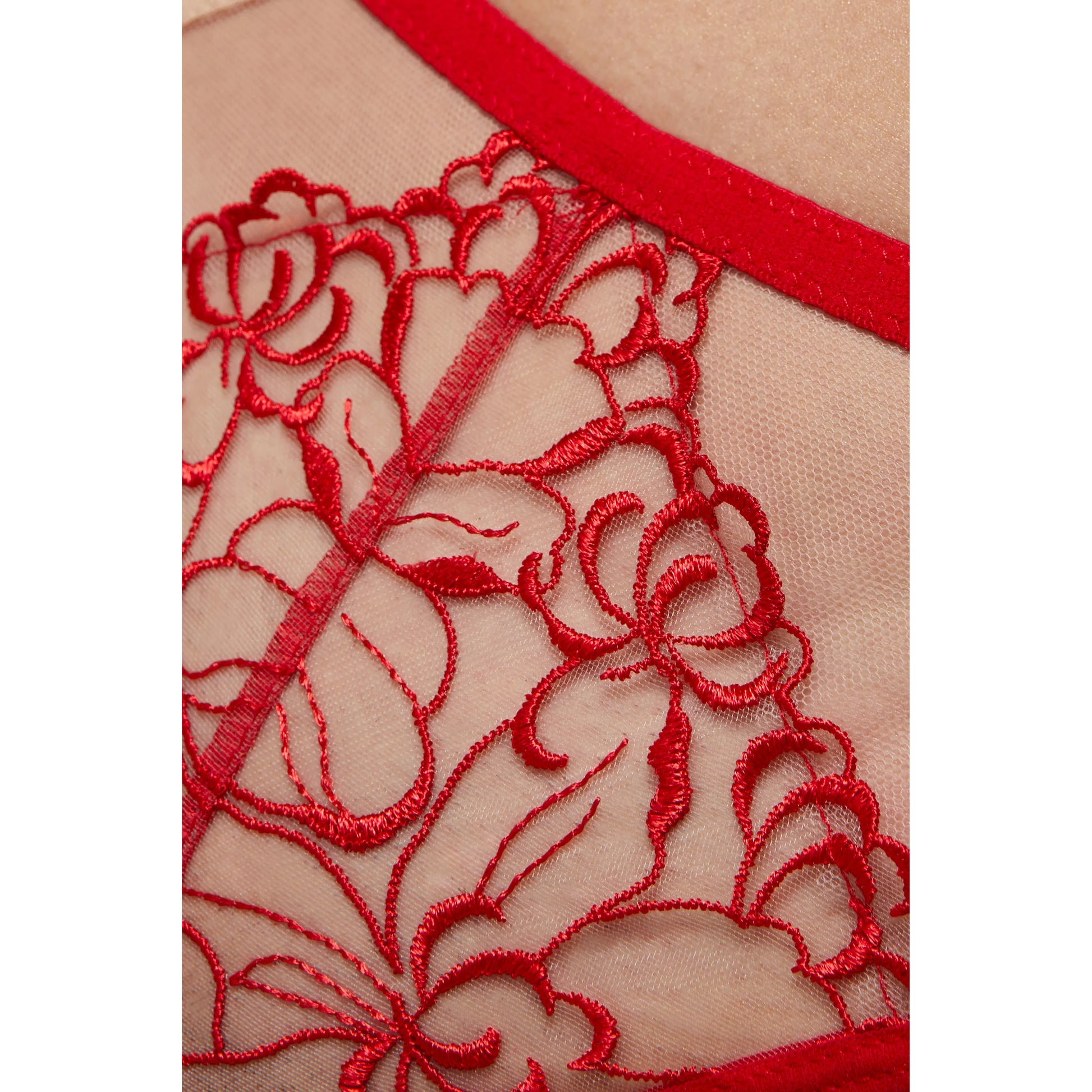 Sheer Mesh Thong Panty Gorteks Mistress-4