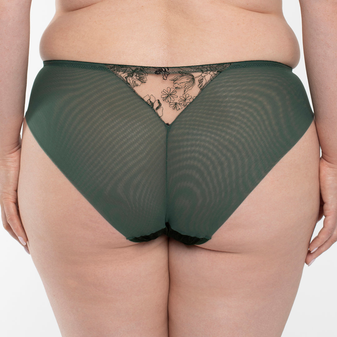 Velvet Sheer Embroidered Brief Panty Ola-1
