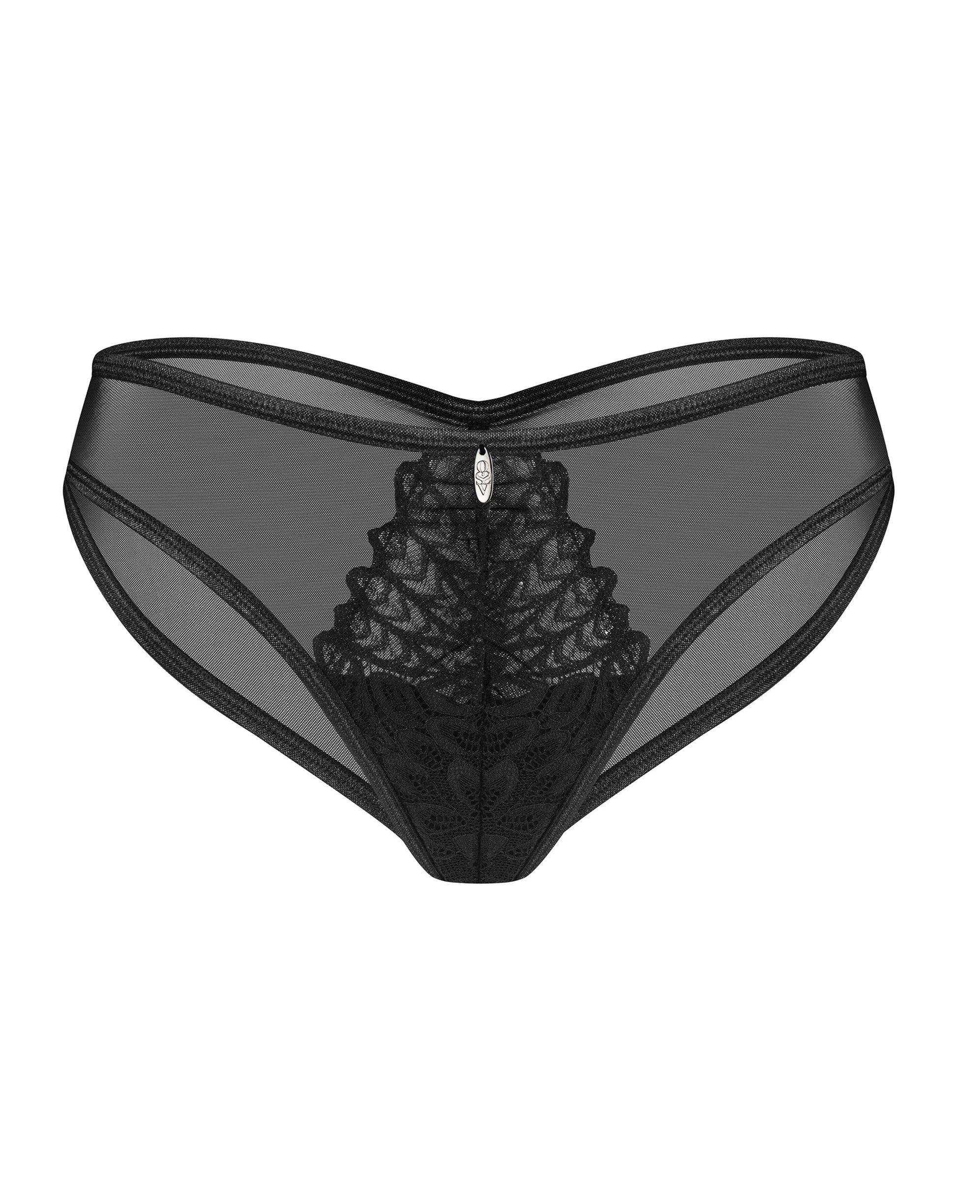 Sheer Mesh Lace Bikini Panty Obsessive Donarella-2
