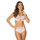 Sheer Mesh Lace High Waist Brief Panty Pure Mindy-2