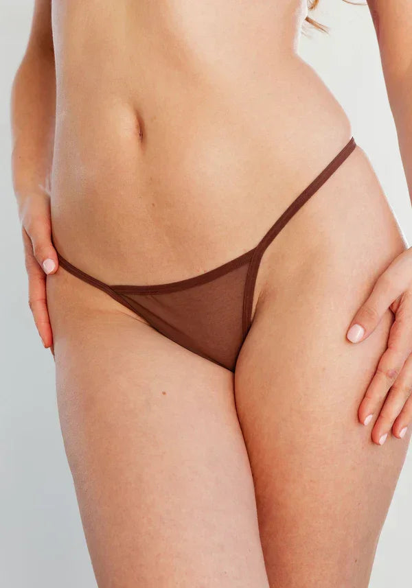 Sheer Mesh Panty | Blush Lingerie's Flirty Cocoa Essential - STREET STYLE
