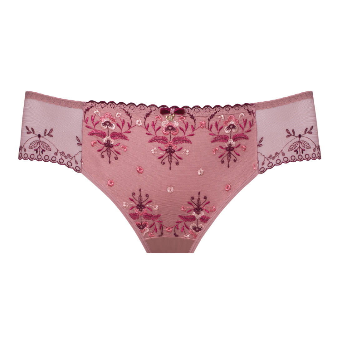 Sheer Mesh Tulle Embroidered Brief Panty Viola-2