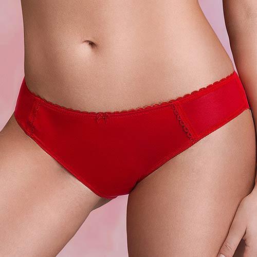 Sheer Back Bikini Panty Stefi L Crimson - STREET STYLE