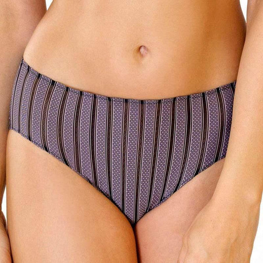 Soft Stretch High Waist Brief Panty Daisy Stripe - STREET STYLE