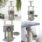 Cat creeper-grey-2