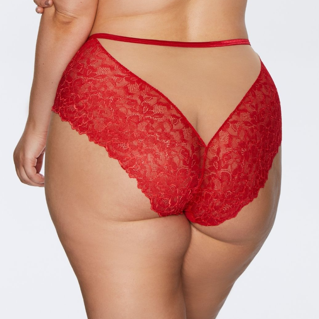 Soft Lace High Waist Brief Panty Kinga Mind Love-1