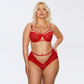 Sheer Mesh Full Busted Lace Bra Kinga Mind Love-2