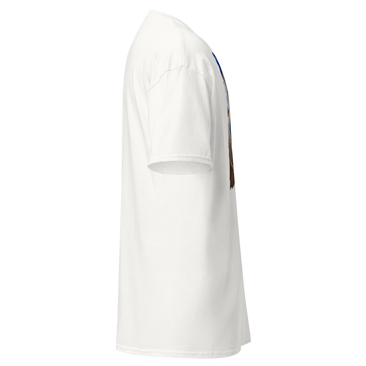 T-shirt Uomo Route 66 - Stampa Vintage Iconica Americana 12066-4