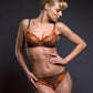 Sheer French Cut Thong Panty Lavinia Wildfire-0