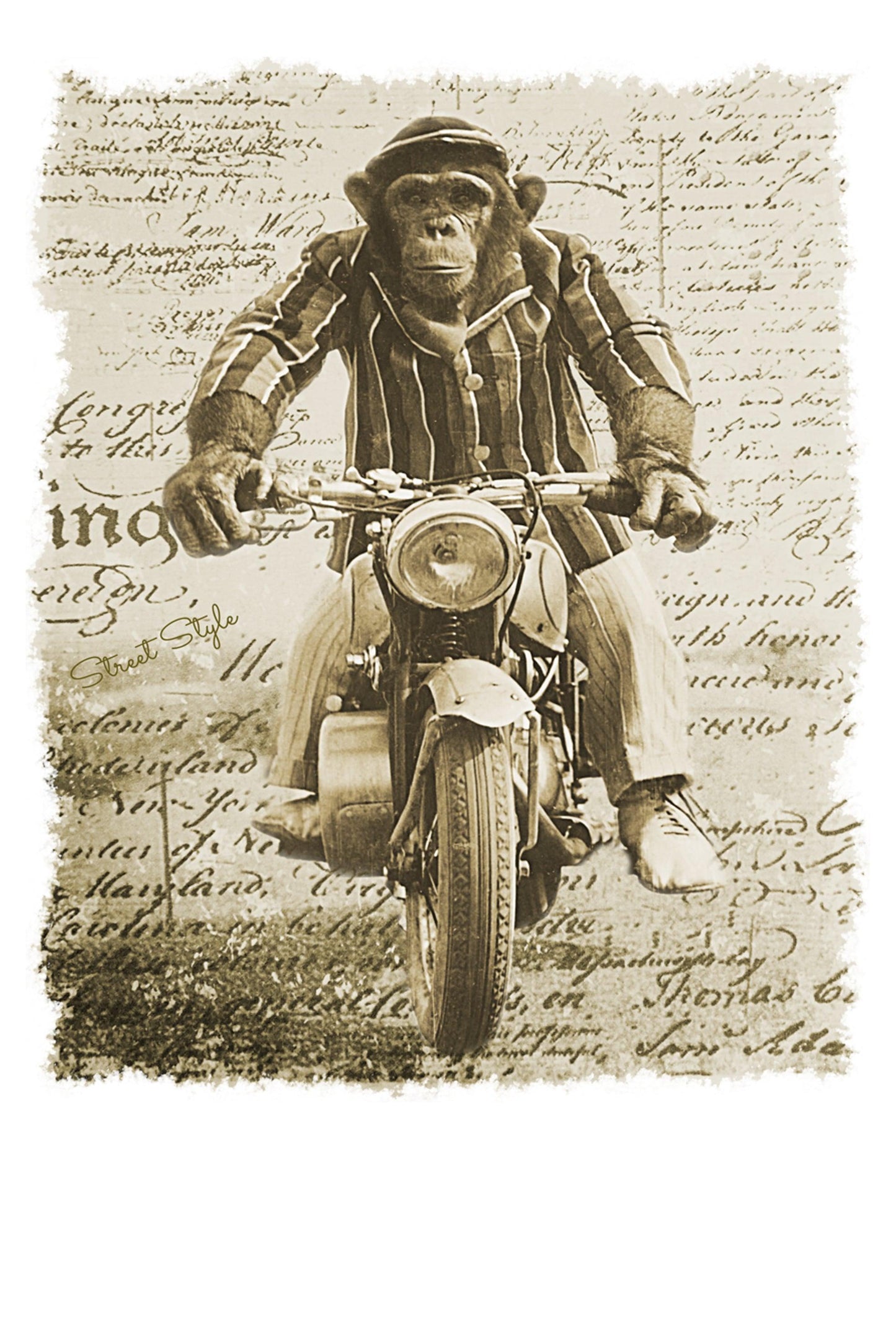 Monkey Dream Moto Scimmia Auto Art. 11010 T-Shirt Urban Men Uomo 100% Cotone Fiammato STREET STYLE